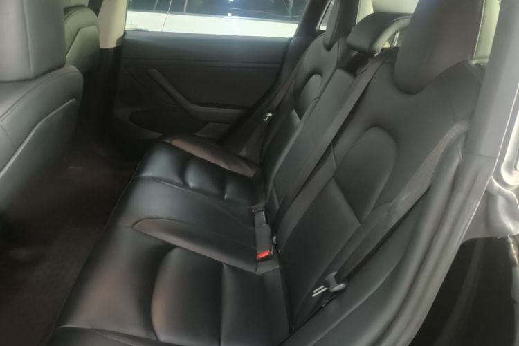 Tesla Model 3 2021 immagine di auto #13