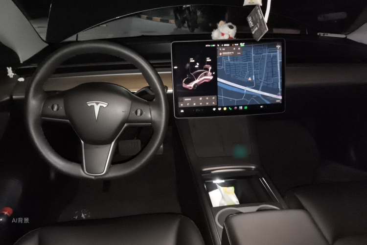 Tesla Model 3 2021 #11 Tesla Model 3 2021 car image #11
