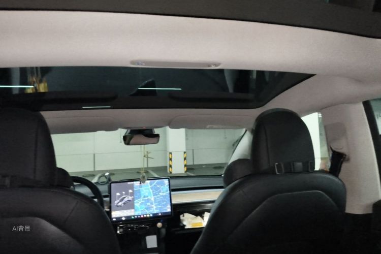 Tesla Model 3 2021 #20 Tesla Model 3 2021 car image #20