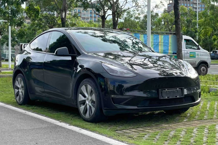 Tesla Model Y 2021 #4 Tesla Model Y 2021 car image #4