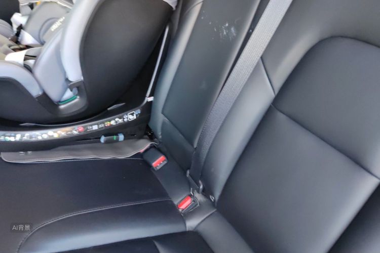 Tesla Model 3 2020 car image #19