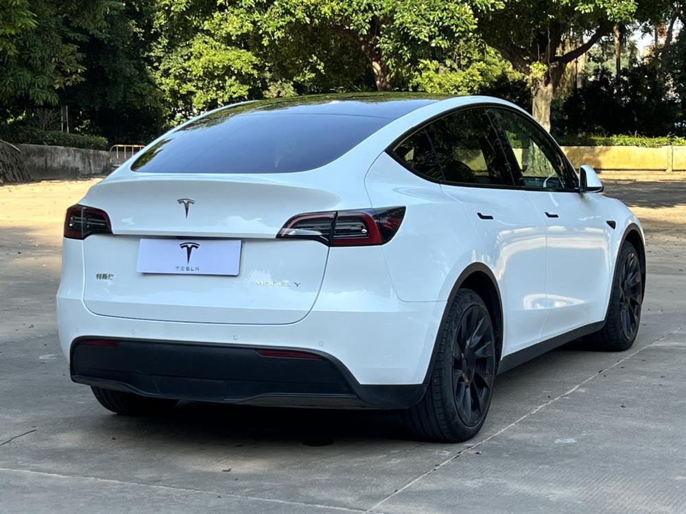 Tesla Model Y 2022 #6 Tesla Model Y 2022 car image #6
