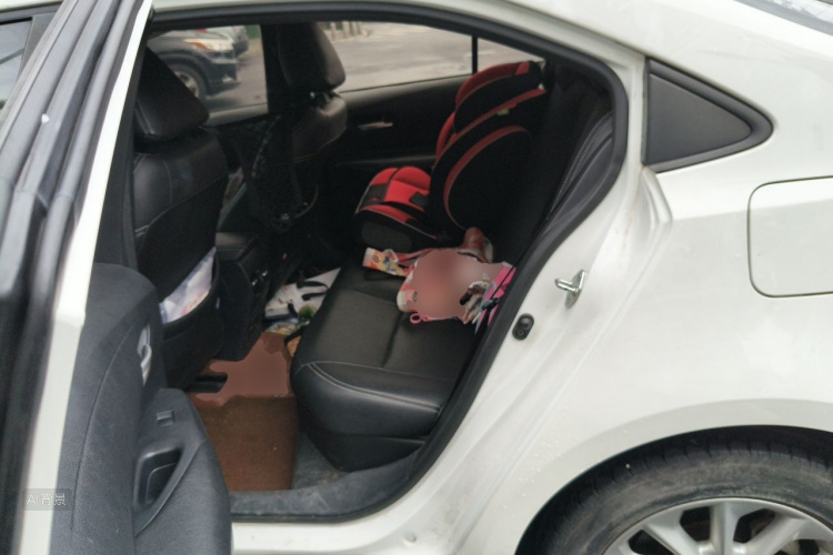 Toyota Corolla 2020 car image #19