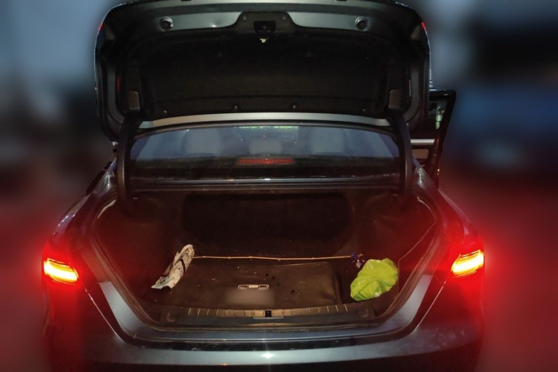 GEELY Binray 2018 #8 GEELY Binray 2018 image de voiture #8