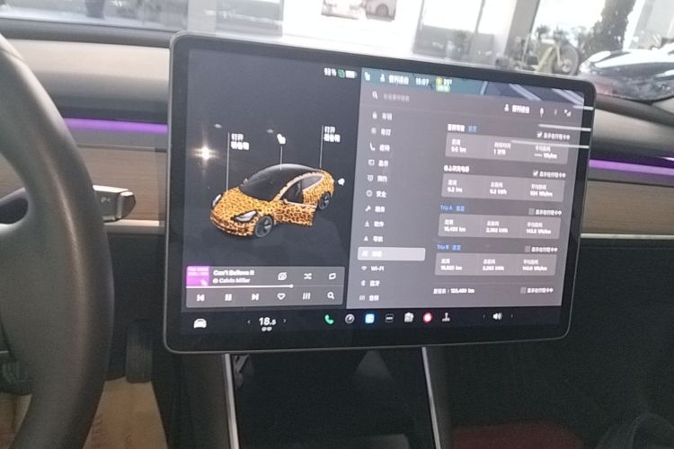 Tesla Model 3 2020 #17 Tesla Model 3 2020 car image #17