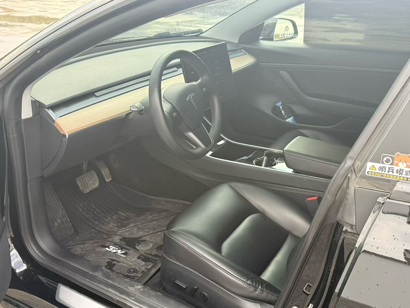 Tesla Model 3 2020 car image #4