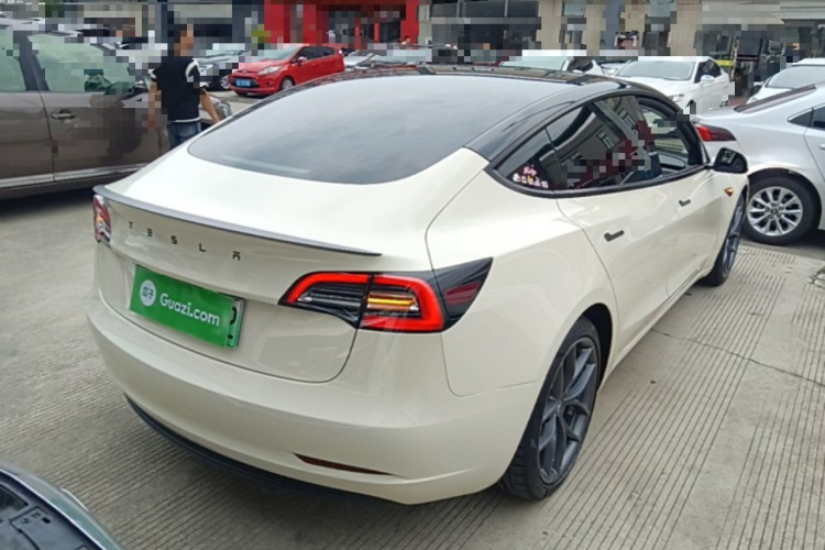Tesla Model 3 2021 immagine di auto #7
