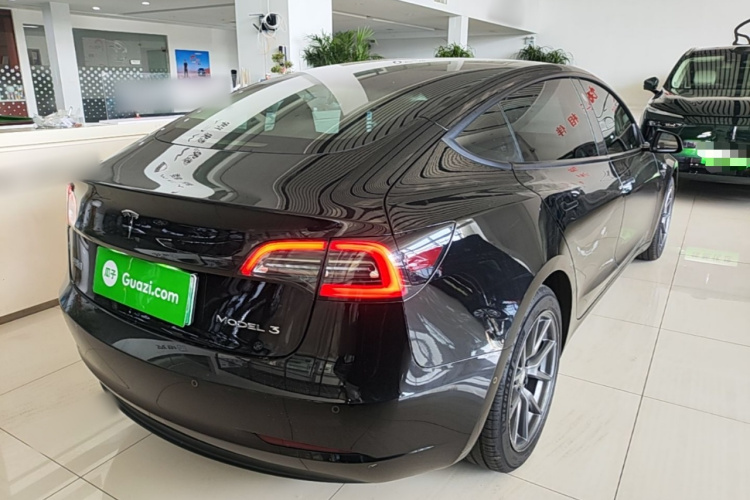 Tesla Model 3 2021 car image #7