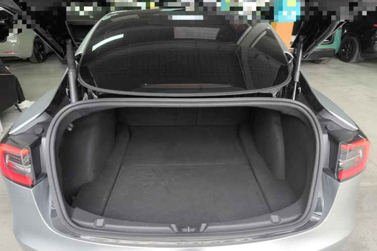 Tesla Model 3 2023 car image #19