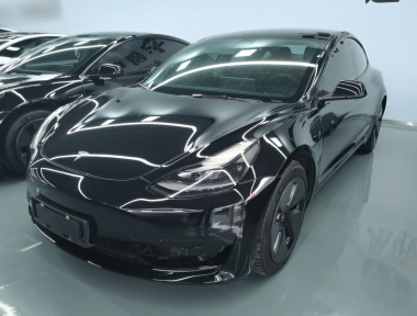 Tesla Model 3 2021 Tesla Model 3 2021 car image