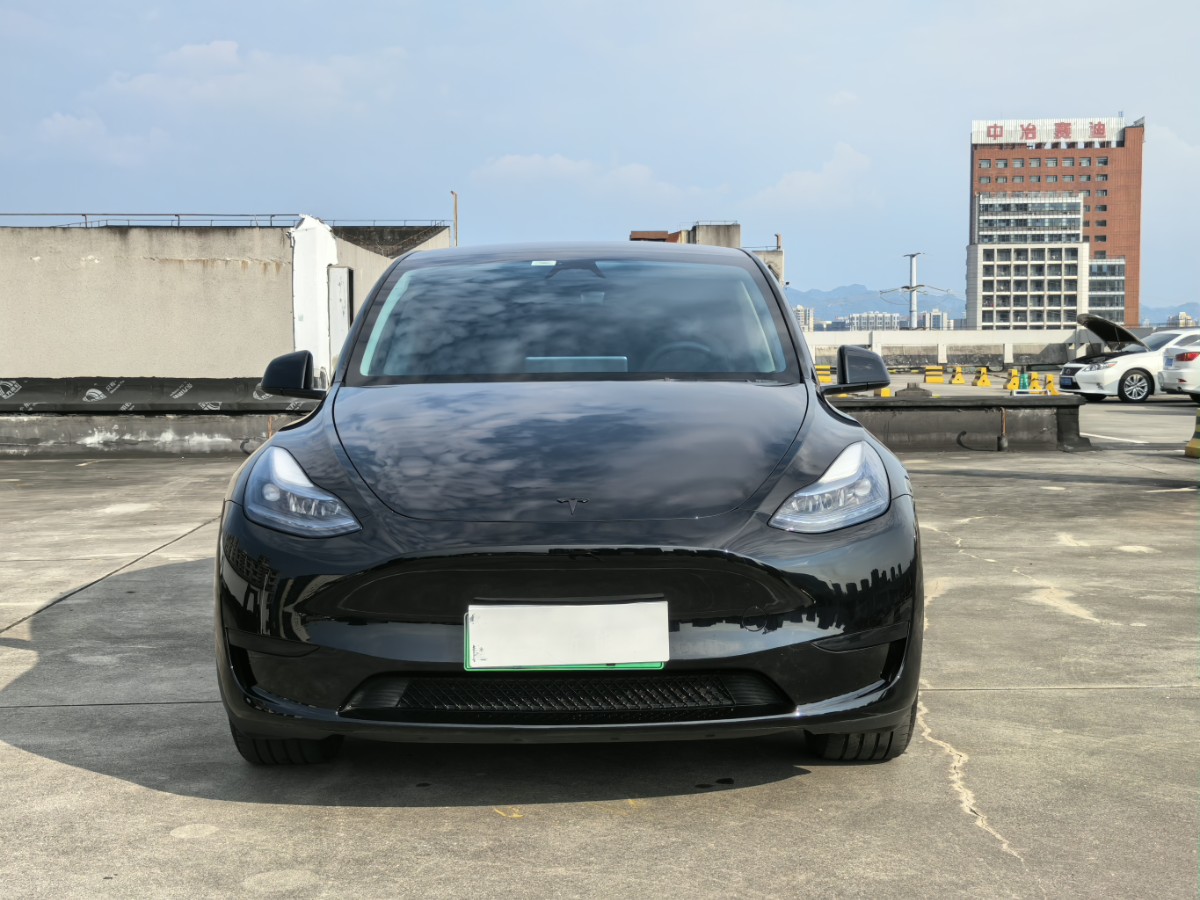 Tesla Model Y 2024 car image #2