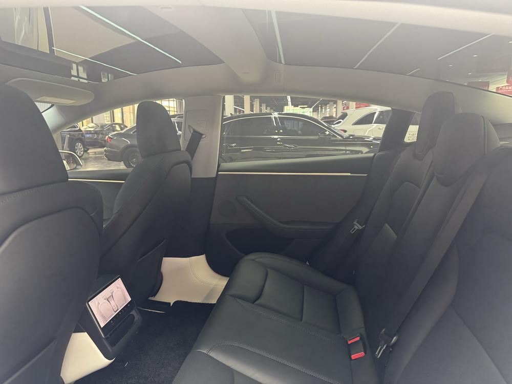 Tesla Model 3 2024 car image #20