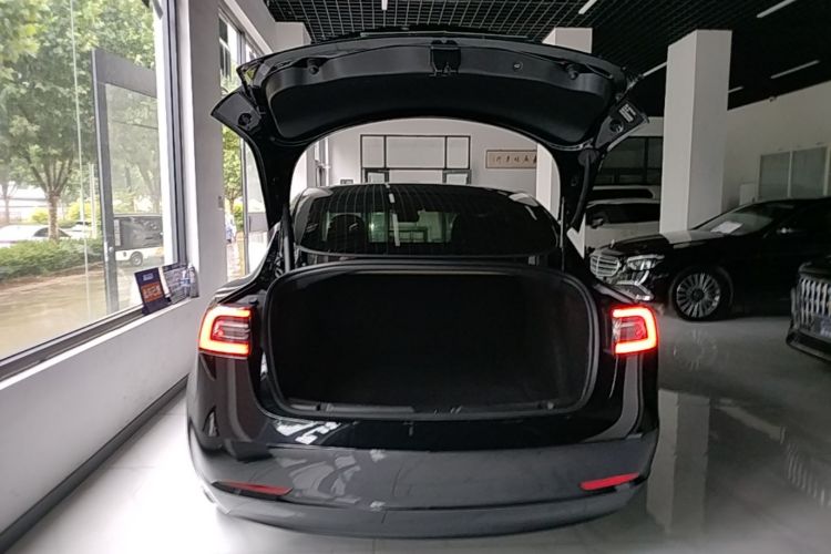 Tesla Model 3 2023 car image #19