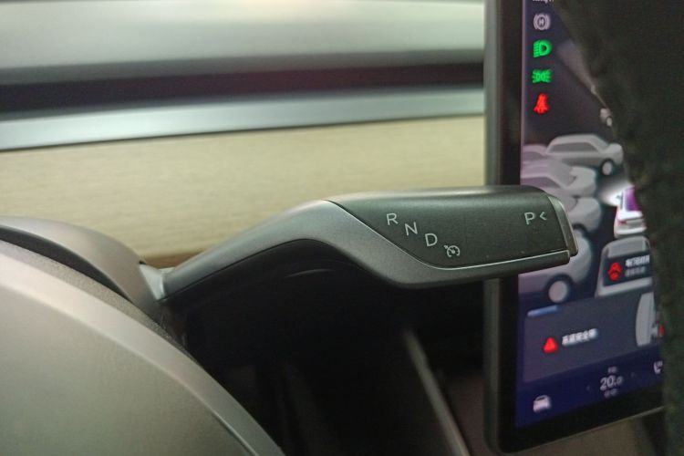 Tesla Model 3 2020 immagine di auto #14