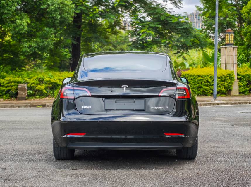 Tesla Model 3 2022 #12 Tesla Model 3 2022 car image #12