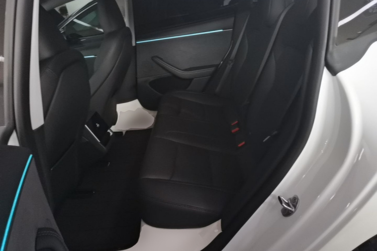 Tesla Model 3 2025 car image #17