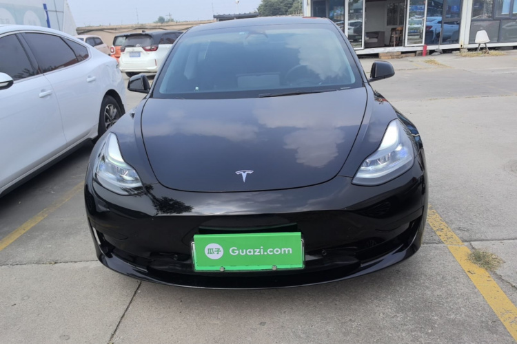 Tesla Model 3 2021 #3 Tesla Model 3 2021 car image #3