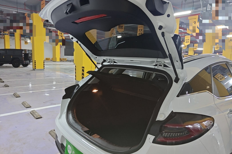 GEELY Emgrand S 2021 صورة سيارة #19