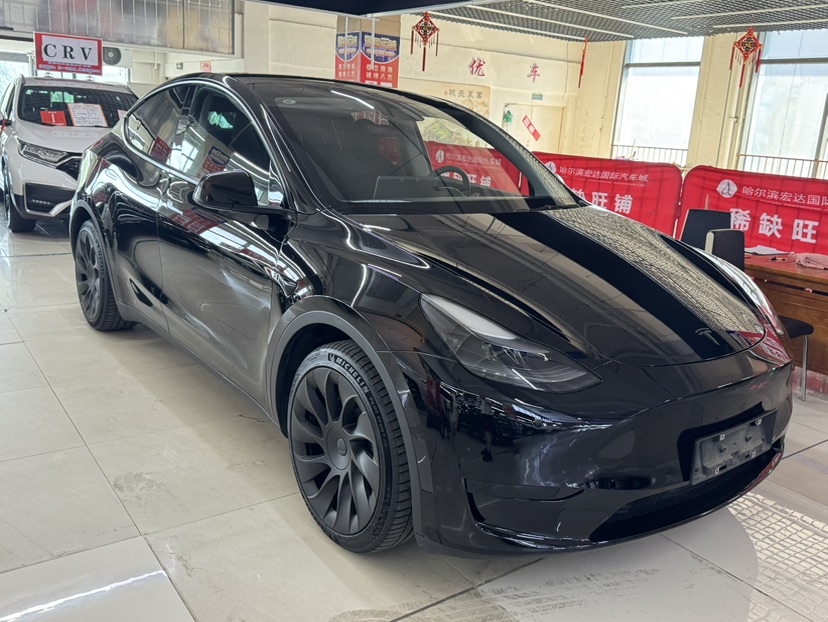 Tesla Model Y 2022 car image #2
