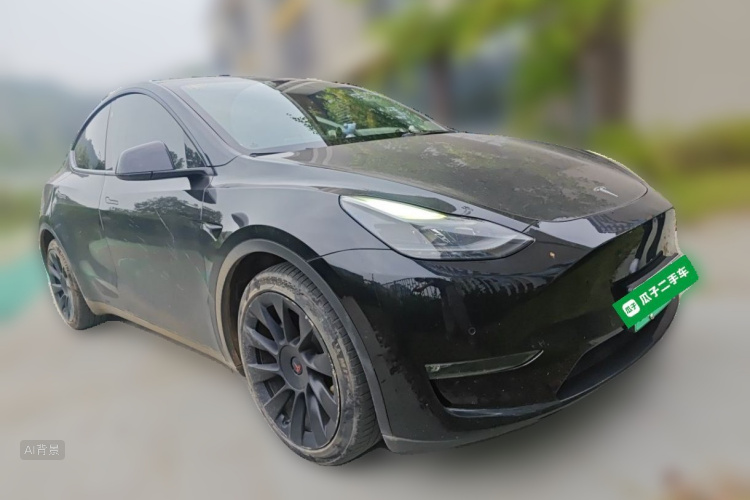 Tesla Model Y 2021 car image #4