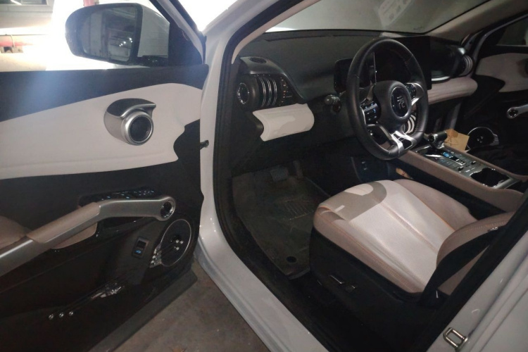 BYD Yuan Plus 2024 #9 BYD Yuan Plus 2024 car image #9