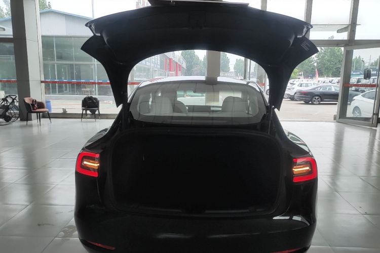 Tesla Model 3 2002 #21 Tesla Model 3 2002 car image #21