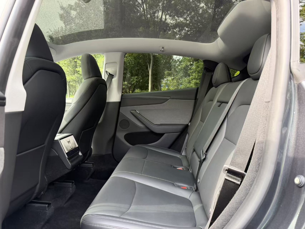 Tesla Model Y 2025 #8 Tesla Model Y 2025 car image #8