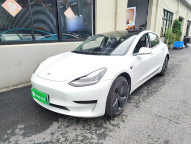 Tesla Model 3 2020 Tesla Model 3 2020 car image