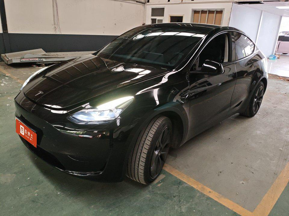 Tesla Model Y 2024 Tesla Model Y 2024 car image