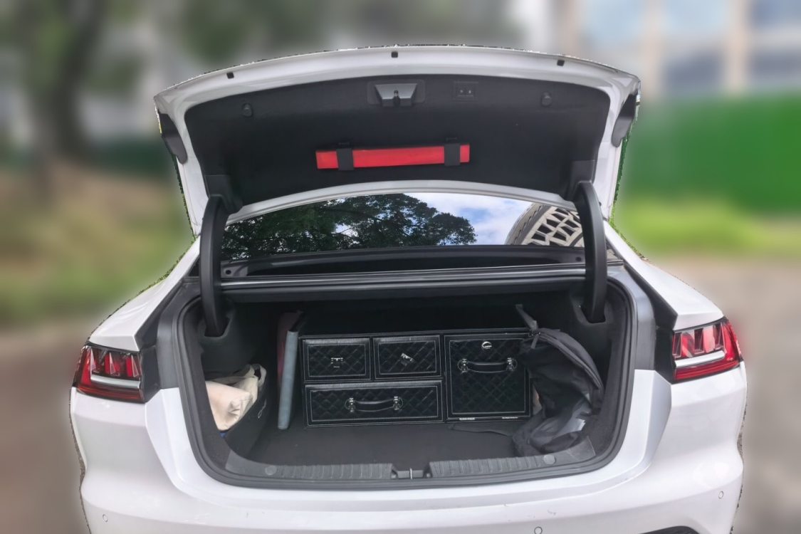 BYD Han 2021 #8 BYD Han 2021 immagine di auto #8