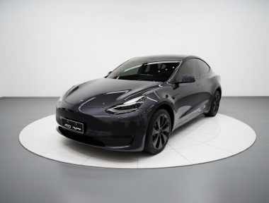 Tesla Model Y 2022 Tesla Model Y 2022 car image