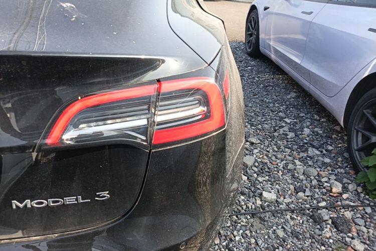 Tesla Model 3 2022 #8 Tesla Model 3 2022 car image #8