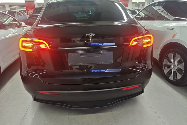 Tesla Model Y 2022 car image #6