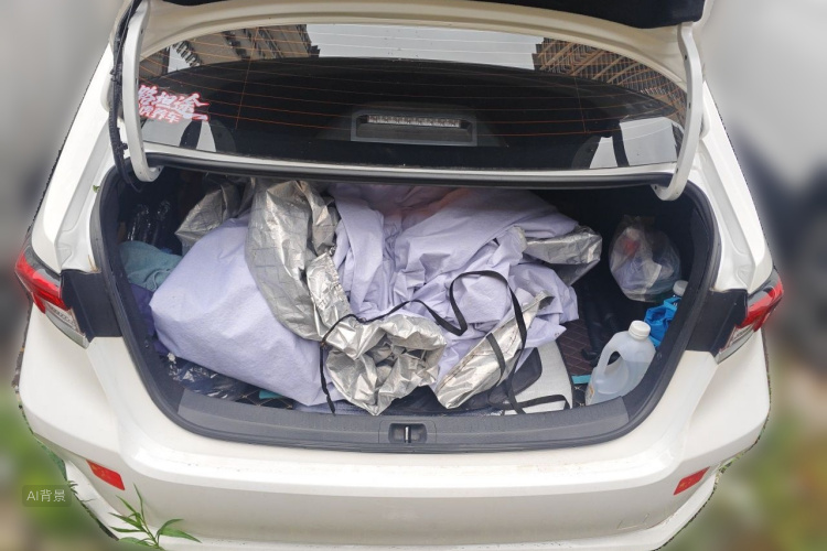 Toyota Corolla 2020 car image #21
