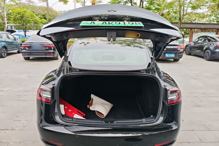 Tesla Model 3 2023 car image #19