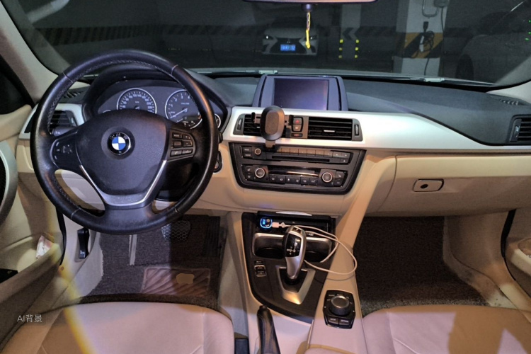 BMW 3 Series 2014 car image #11
