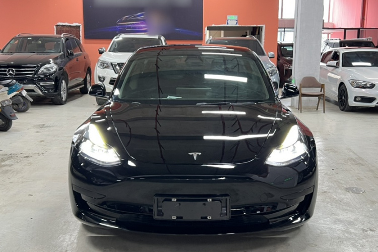 Tesla Model 3 2021 #9 Tesla Model 3 2021 car image #9