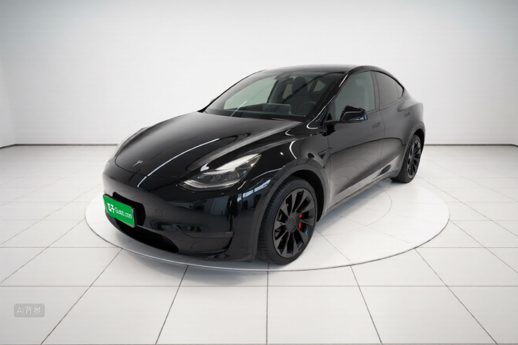 Tesla Model Y 2021 car image #2
