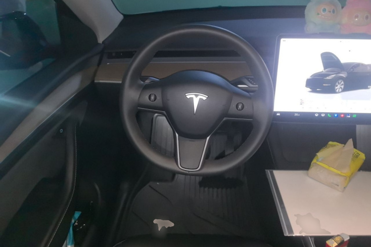 Tesla Model Y 2022 car image #11