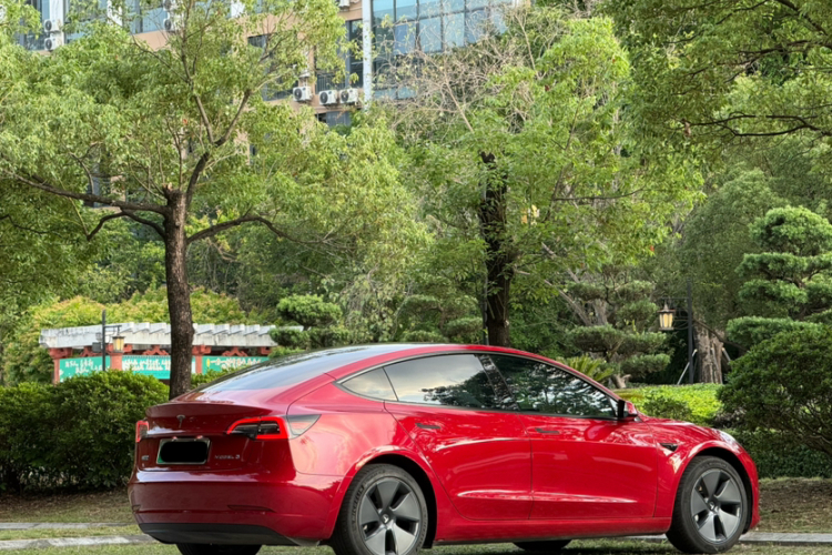 Tesla Model 3 2021 #8 Tesla Model 3 2021 car image #8