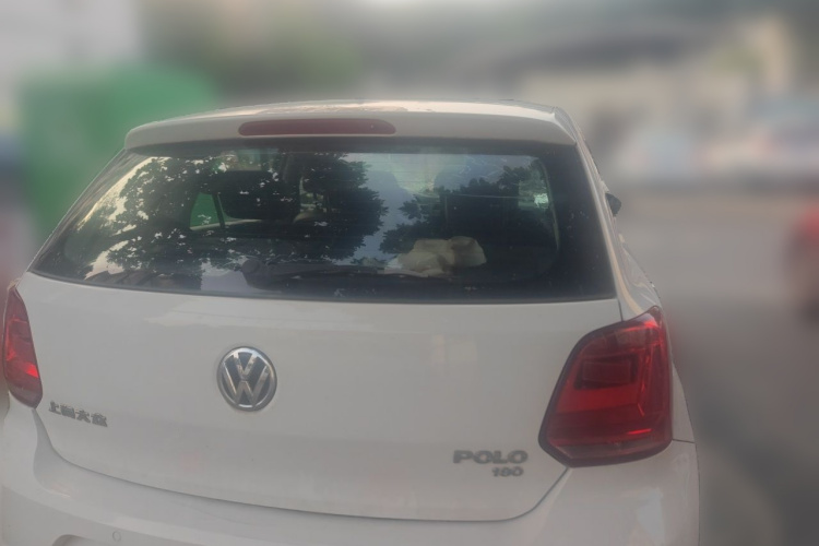 Volkswagen Polo 2016 car image #4