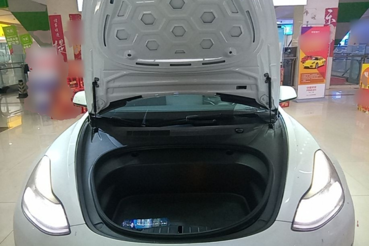 Tesla Model 3 2021 car image #20