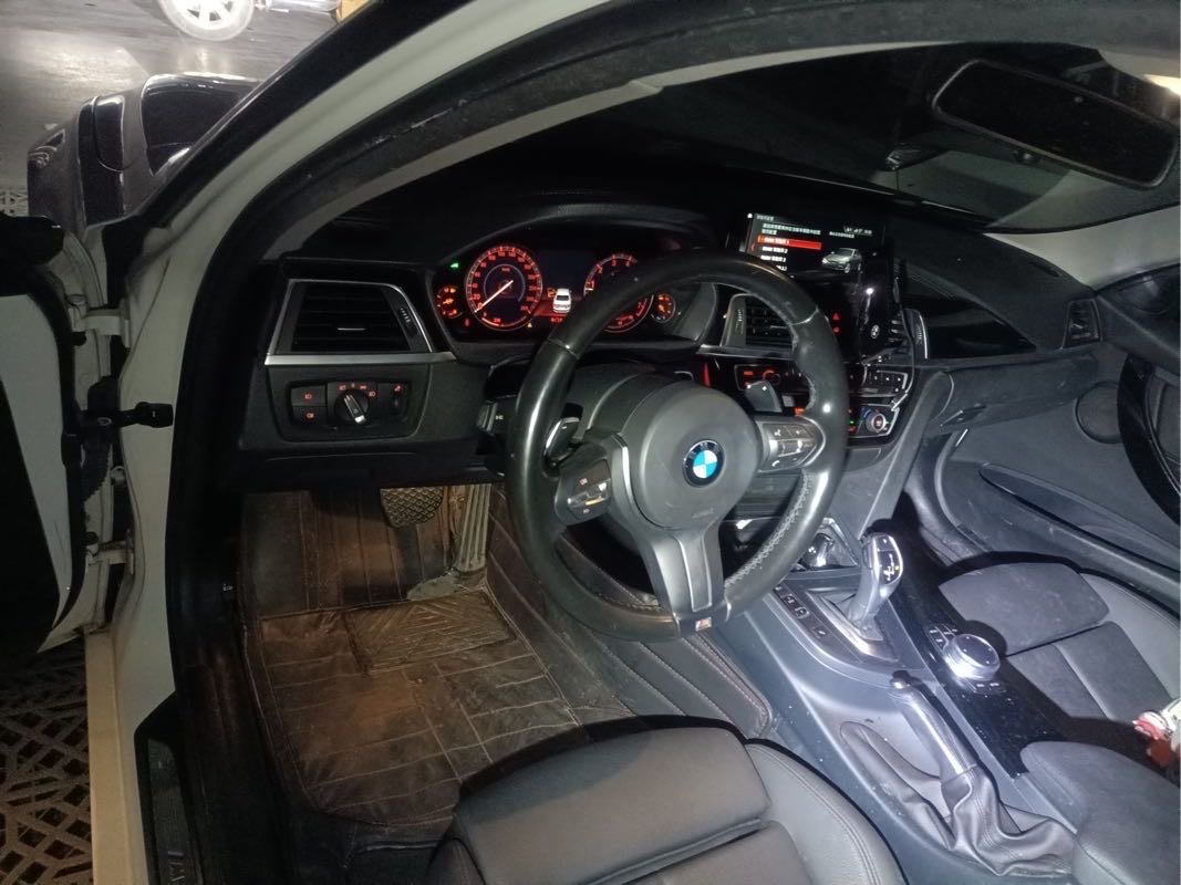 BMW 3 Series 2017 car image #8