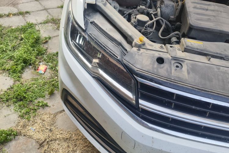 Volkswagen Bora 2019 car image #8