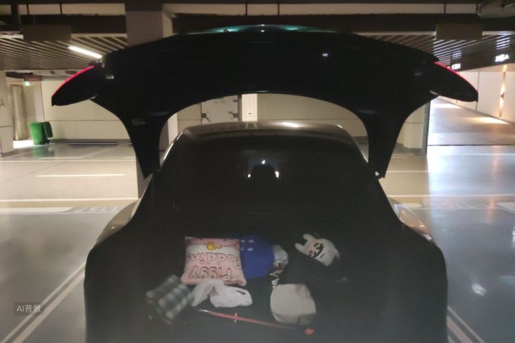 Tesla Model 3 2024 car image #21
