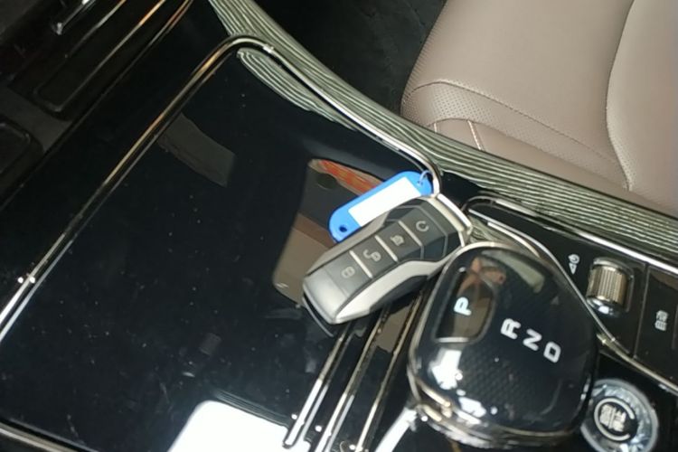 BYD Han 2020 #9 BYD Han 2020 immagine di auto #9