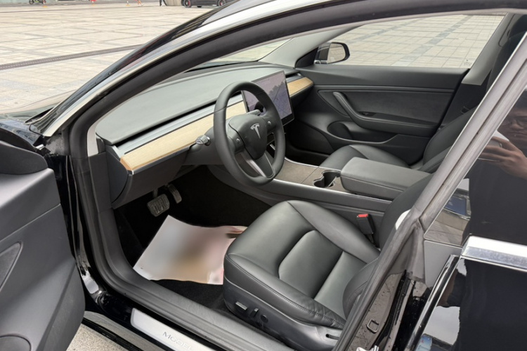 Tesla Model 3 2020 car image #13