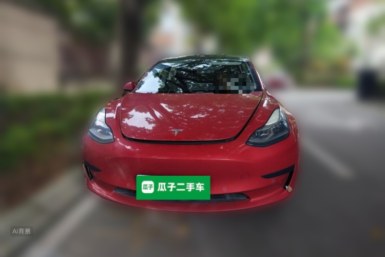 Tesla Model 3 2021 #3 Tesla Model 3 2021 car image #3