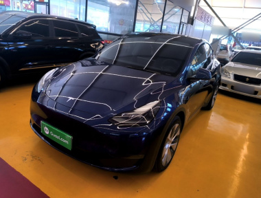 Tesla Model Y 2022 car image 