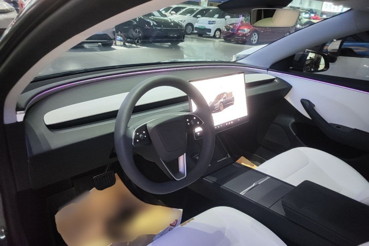 Tesla Model 3 2024 #10 Tesla Model 3 2024 car image #10